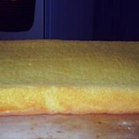 Biszkopt sprawdzony zawsze wychodzi