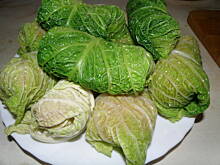 Fot. anulkas, Protal - Gołąbki w sosie pomidorowym