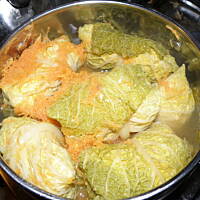 Protal - Gołąbki w sosie pomidorowym