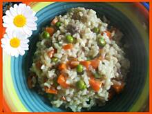 Fot. hancia, Risotto
