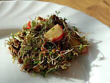 Fot. MAGDAITYLE, Kiełki z sezamem - czyli co zrobić z rzeżuchą