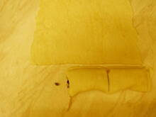 Fot. ewadarnowska, Paszteciki