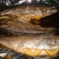 Protal - Pstrąg pieczony w rękawie