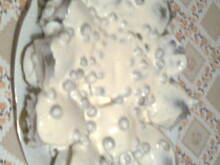 Fot. Bozenka16, Śledz po japońsku