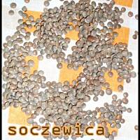 Harira zupa marokańska