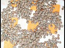 Fot. hancia, Harira zupa marokańska