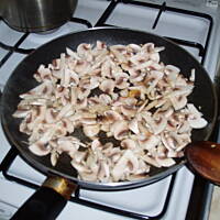 Strogonow kurczakowy