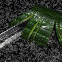 Dekoracyjny wachlarzyk z ogórka