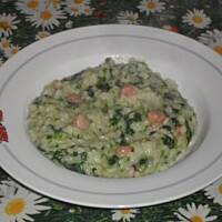 risotto zielone z krewetkami