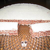 Andrut pischinger wafel kakaowy/czekoladowy