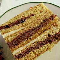 Podkamieniec, zwany plackiem spod kamienia