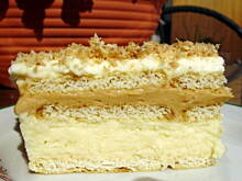 Fot. Krystyna911, Kokosowiec-bitowiec