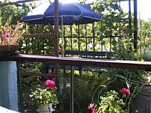 Fot. Kazik45, Magnolie