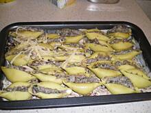 Fot. Kazik45, Muszle makaronowe zapiekane