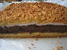 Fot. asikyoasik, kolorowy pleśniak