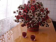 Fot. msewka, Nalewka z czarnej porzeczki.