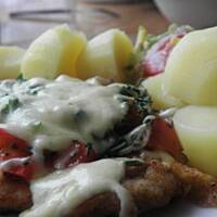 Schabik pod płaszczykiem.