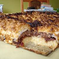 pleśniak wg pynia65