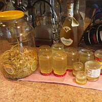 Nalewka lecznicza z kwiatów bzu czarnego