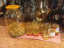 Fot. jaska2503, Nalewka lecznicza z kwiatów bzu czarnego