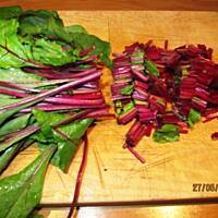 Chłodnik pachnący wiosną