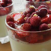 Panna cotta z truskawkami i poziomkami.