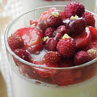 Panna cotta z truskawkami i poziomkami.