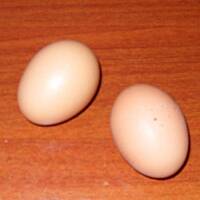 Ekspresowe ciasto owocowe od Mężatki