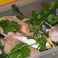 Steki z łososia na grill