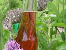 Fot. tineczka, Sok z kwiatow bzu lilak