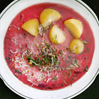 Mistrzowski chłodnik litewski