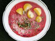 Fot. Madarka, Mistrzowski chłodnik litewski