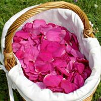 Dzem z agrestu z platkami dzikiej rozy