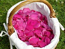 Fot. tineczka, Dzem z agrestu z platkami dzikiej rozy