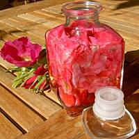 Ocet winny z platkow rozy pachnacej