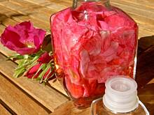 Fot. tineczka, Ocet winny z platkow rozy pachnacej