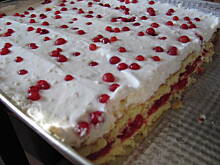 Fot. anex, Placek "Biedronka"