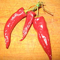 Czekoladki z chilli
