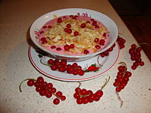 Fot. promyczek71, Chłodnik z porzeczek