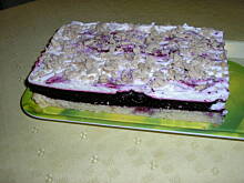 Fot. kina60, Biszkopt z czarną porzeczką