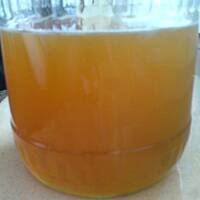 Nalewka lecznicza z kwiatów bzu czarnego