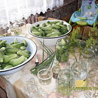 Moje ulubione korniszonki słodko - kwaśne