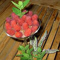 Deser czekoladowy, dobry dla naszego mozgu:)