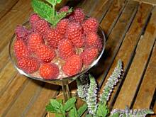 Fot. tineczka, Deser czekoladowy, dobry dla naszego mozgu:)