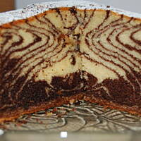 Babka zebra
