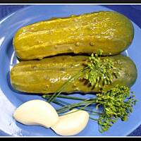 Ogórki małosolne czosnkowe