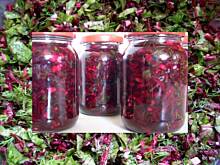 Fot. izeczka, Botwinka na zimę