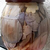 Gąsówki nagie marynowane