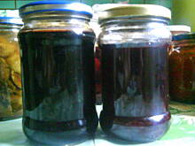 Fot. caroline1983, Sok z owoców jagodowych