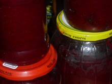 Fot. Teresa.Marcjan, Buraczki z jabłkami i świeżym  imbirem